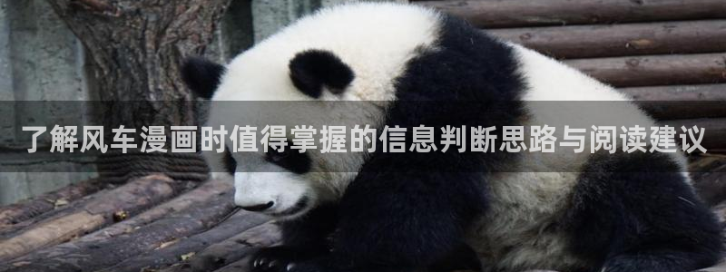 七七漫画漫画内容导航：了解风车漫画时值得掌握的信息判断思路与阅读建议